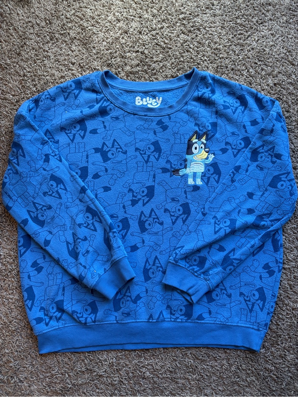 Bluey Women's Blue Crewneck Sweatshirt - Blue